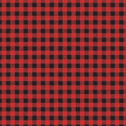 Let's Go Camping Collection Wild Plaid 12 x 12 Double-Sided Scrapbook Paper by Echo Park Paper