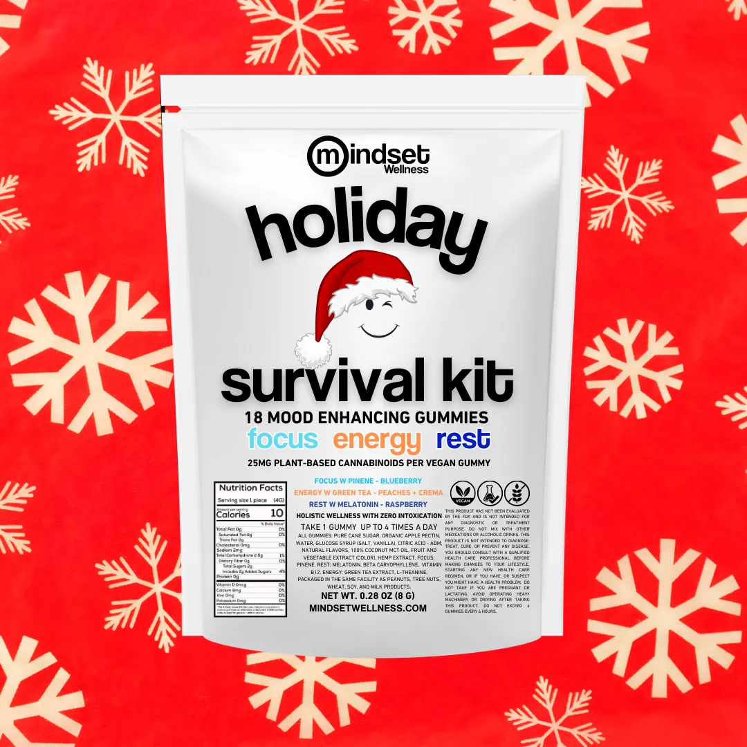 Mindset Holiday Survival Kit