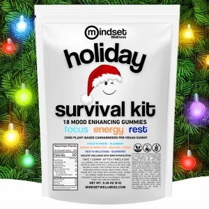 Mindset Holiday Survival Kit