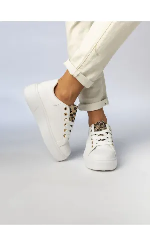Sport Shoes