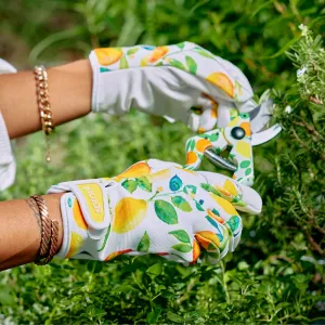 Sprout | Design Goatskin Gloves