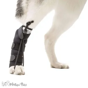 Walkin Wheels® - Rear No-Knuckling Training Sock