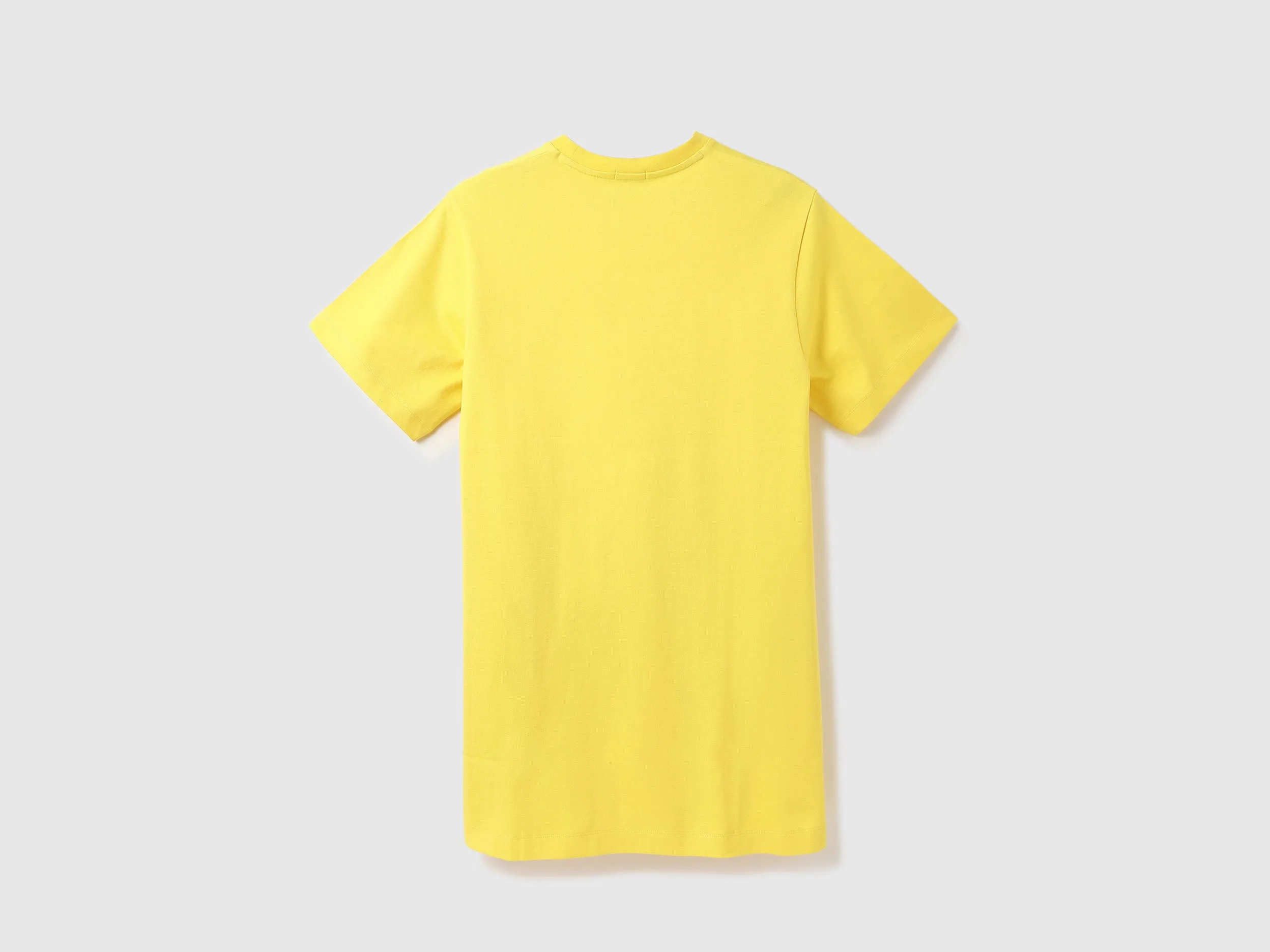 Women Solid Round Neck Dress
